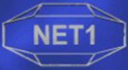 Net1 Announces Updated Universal Shelf Registration Statement