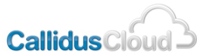 CallidusCloud Sponsors Forrester-s Technology Sales Enablement Forum 2012