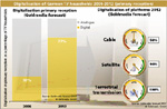 Digitalisation Breakthrough in TV Households