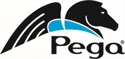 Pegasystems Raises the Bar for Customer Experience With Latest Industry-Leading Customer Service Application