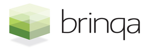 Brinqa Integrates With BitSight to Transform Vendor Risk Management