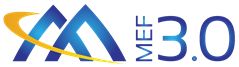 MEF Releases MEF 3.0 Transformational Global Services Framework